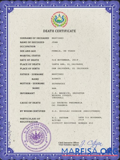 Realistic El Salvador vital record death certificate PSD template